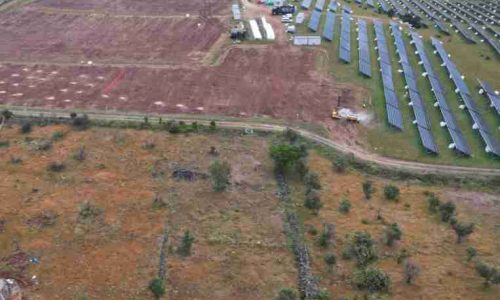 Ripristino e Livellamento del Terreno con Escavatore Ripristino e Livellamento del Terreno con Escavatore